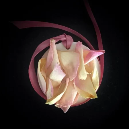 Wild Rose Wax Tablet